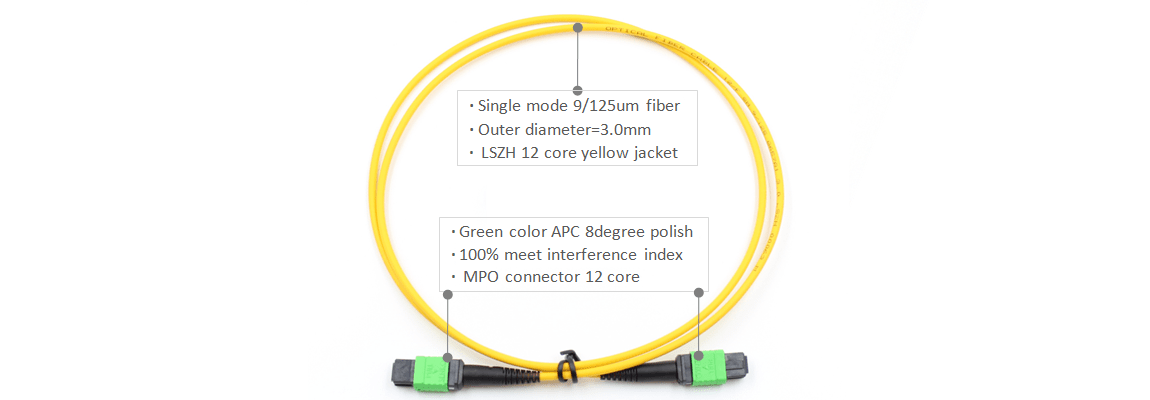 MPO Female to MPO Female Connectors OS2 9/125um Single-mode Type B 12 core LSZH Yellow Trunk Optic Cable