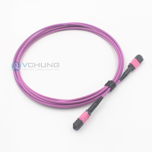 MPO Connector Pre-Termimated Female 24 Core I/L 0.70dB Trunk 3.0mm LSZH OM4 Fiber Optical Cable