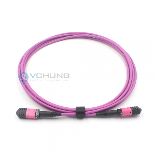 MPO Female to MPO Male 12Cores OM4 50/125um Multimode Type B LSZH Purple Color Trunk Cable