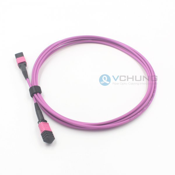 MPO Female to MPO Male 12Cores OM4 50/125um Multimode Type B LSZH Purple Color Trunk Cable