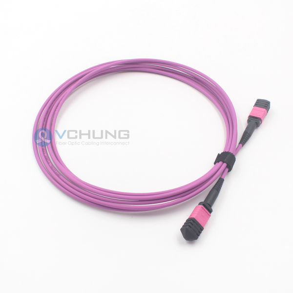 MPO Female to MPO Male 12Cores OM4 50/125um Multimode Type B LSZH Purple Color Trunk Cable