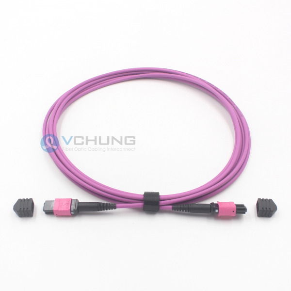 MPO Female to MPO Male 12Cores OM4 50/125um Multimode Type B LSZH Purple Color Trunk Cable