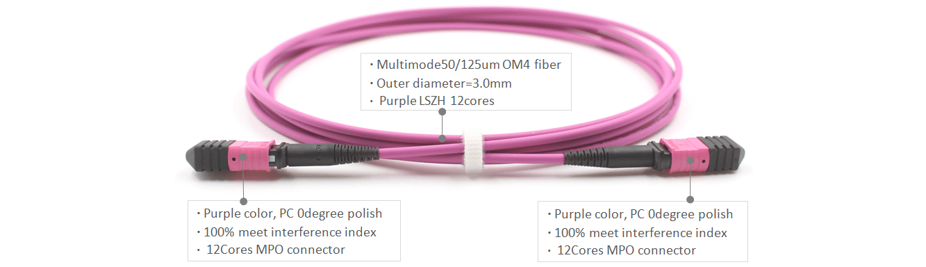 MPO Female to MPO Male 12Cores OM4 50/125um Multimode Type B LSZH Purple Color Trunk Cable