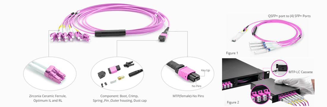 IL0.35dB 8-Fiber MPO to Duplex LC Fan-Out Cable OM4 Multimode 50/125um LSZH Purple Color Breakout Optical Jumper